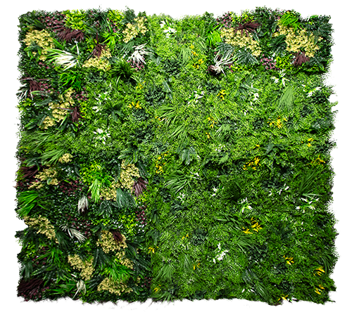 Jungle